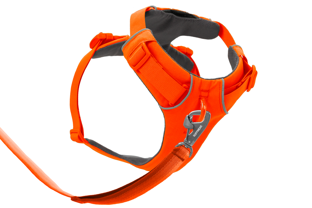 Front Range® Dog Harness
