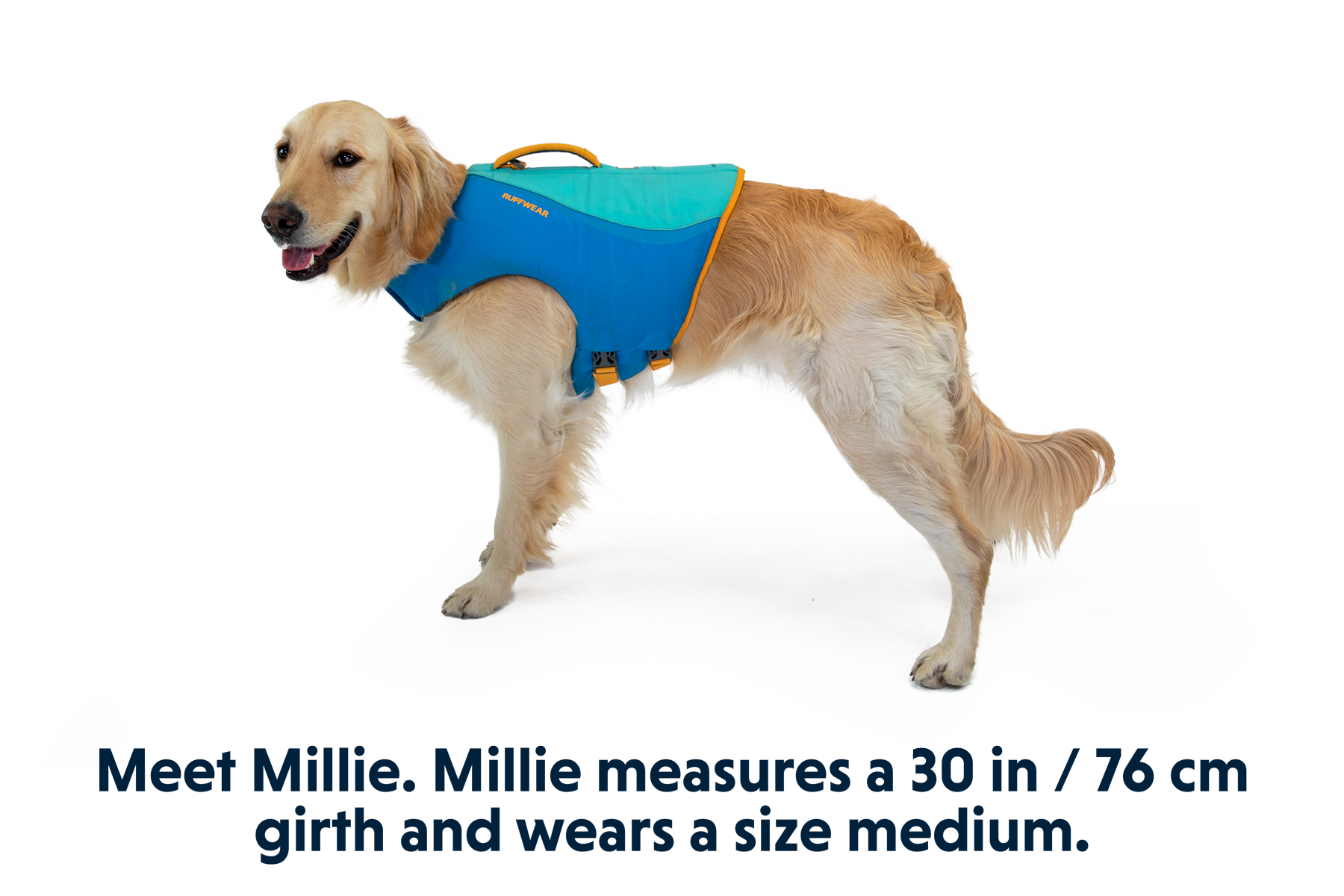 Float Coat™ Dog Life Jacket