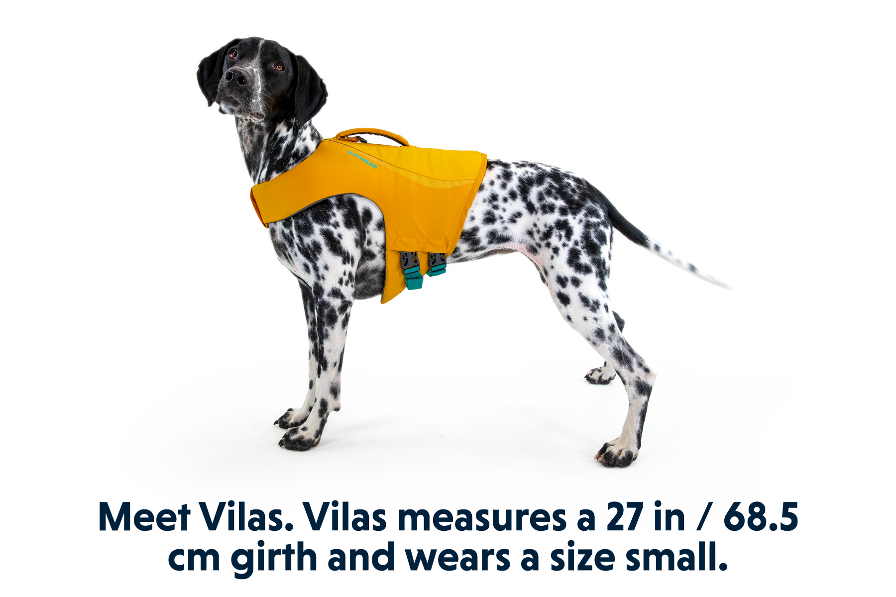 Float Coat™ Dog Life Jacket
